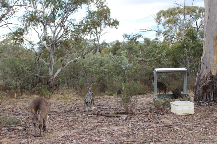 Big Autumn Move Almost Completed