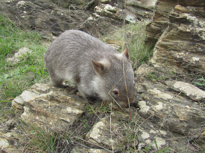 1980-01-01 00.02.25.jpg