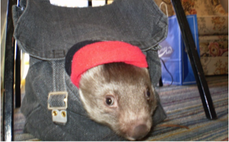 Denton takes the Wheel