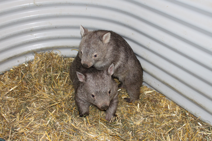 2013-01-01 09.53.10.jpg