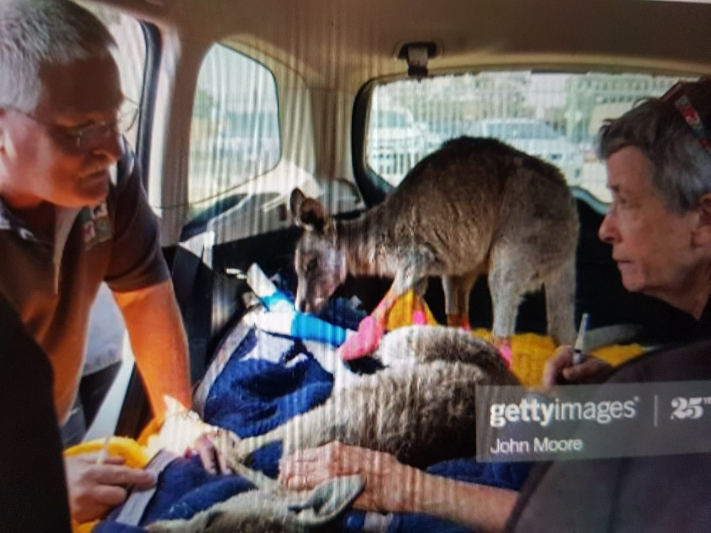 Car fundraiser image 3