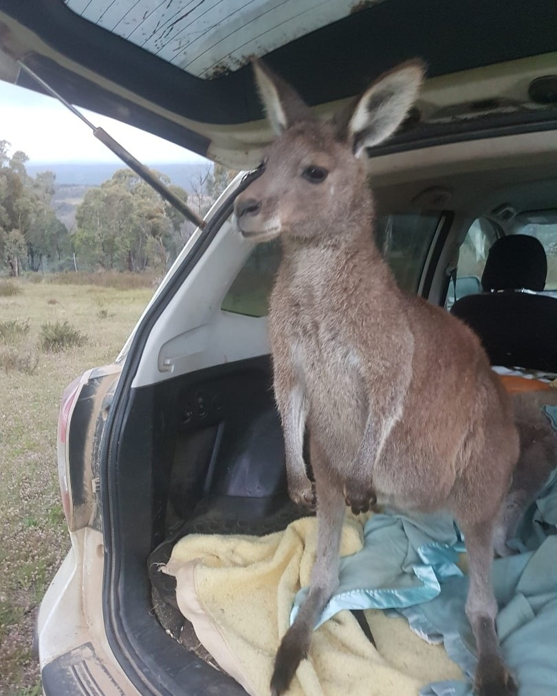 Car fundraiser image 5