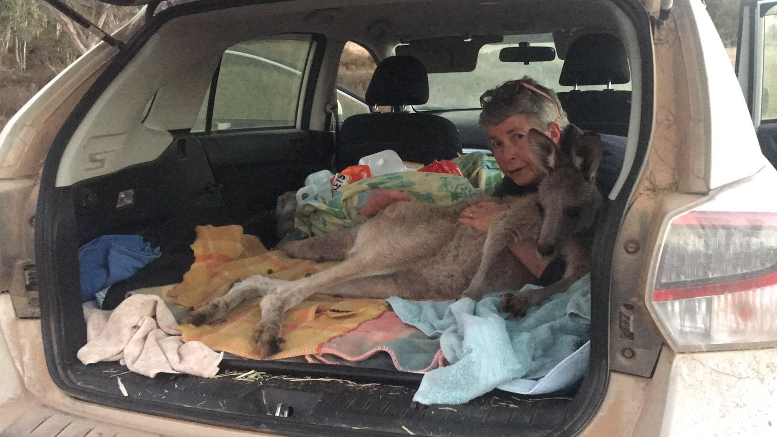 Car fundraiser image 6