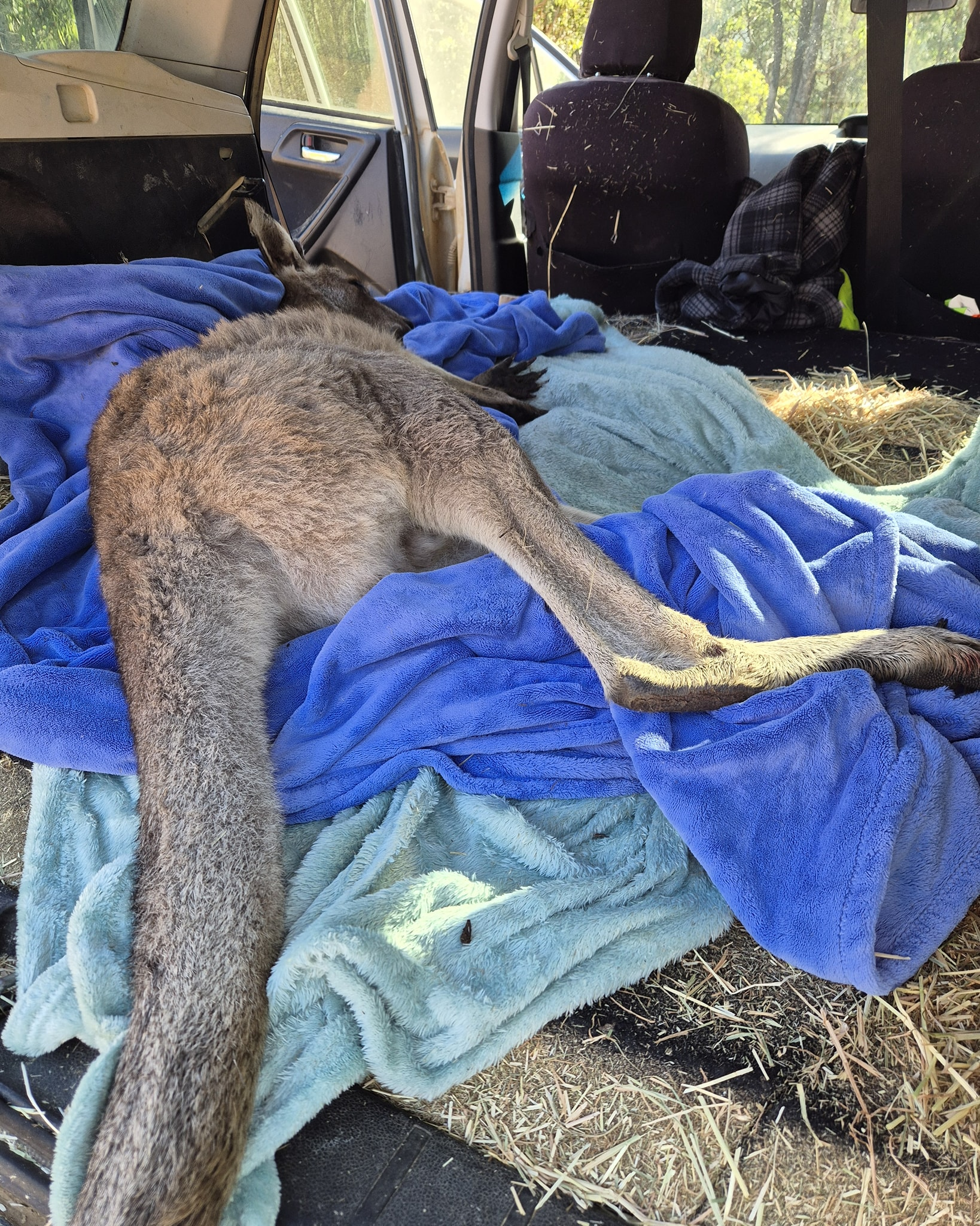 Car fundraiser image 10