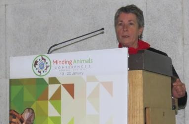 Steve and Rosemary speak at the MAC3 International Conference on Animals in New Delhi