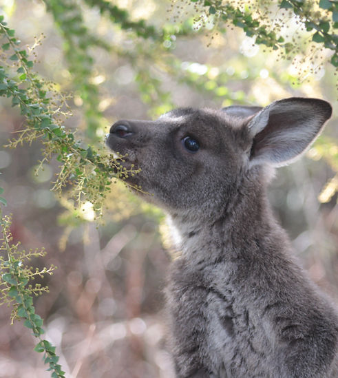 2011-07-23 15.31.56.jpg