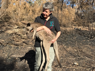 Possumwood Bushfire Emergency Plan