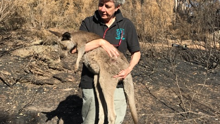 Possumwood Bushfire Emergency Plan