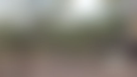 Big Autumn Move Almost Completed