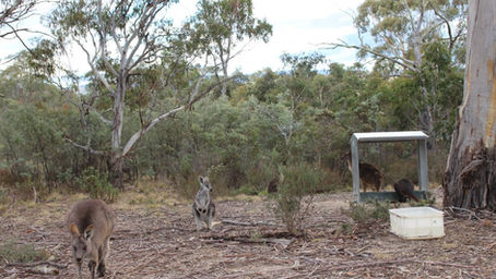 Big Autumn Move Almost Completed