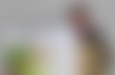 Steve and Rosemary speak at the MAC3 International Conference on Animals in New Delhi