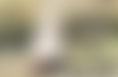 Advanced Macropod Course 2023-24. Module one: Fence entanglement rescue, treatment an rehabilitation