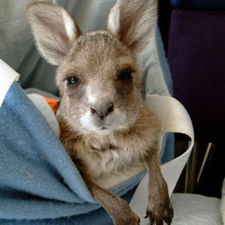 2007-11-25 16.20.51.jpg