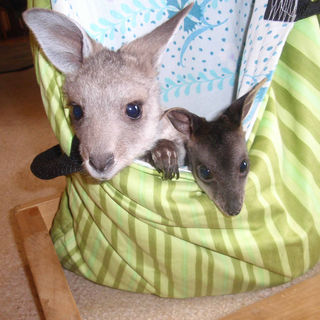 2009-11-14 15.19.22.jpg