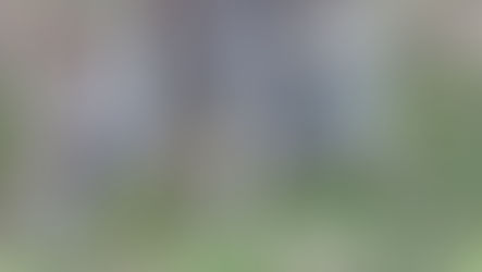 Advanced Macropod Course 2022 - Braidwood National Theatre, July 31