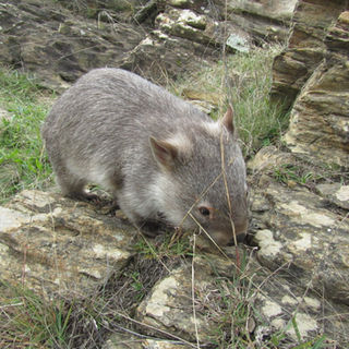 1980-01-01 00.02.25.jpg