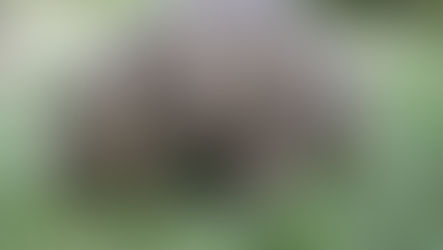 A Big Thanks From Big Bertha