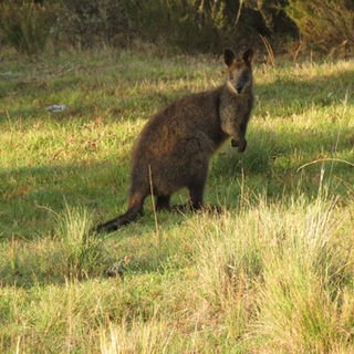 2017-02-11 06.24.15-1.jpg